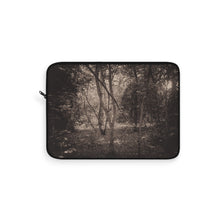 Load image into Gallery viewer, Faeries