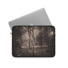 Load image into Gallery viewer, Faeries