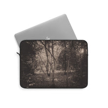 Load image into Gallery viewer, Faeries