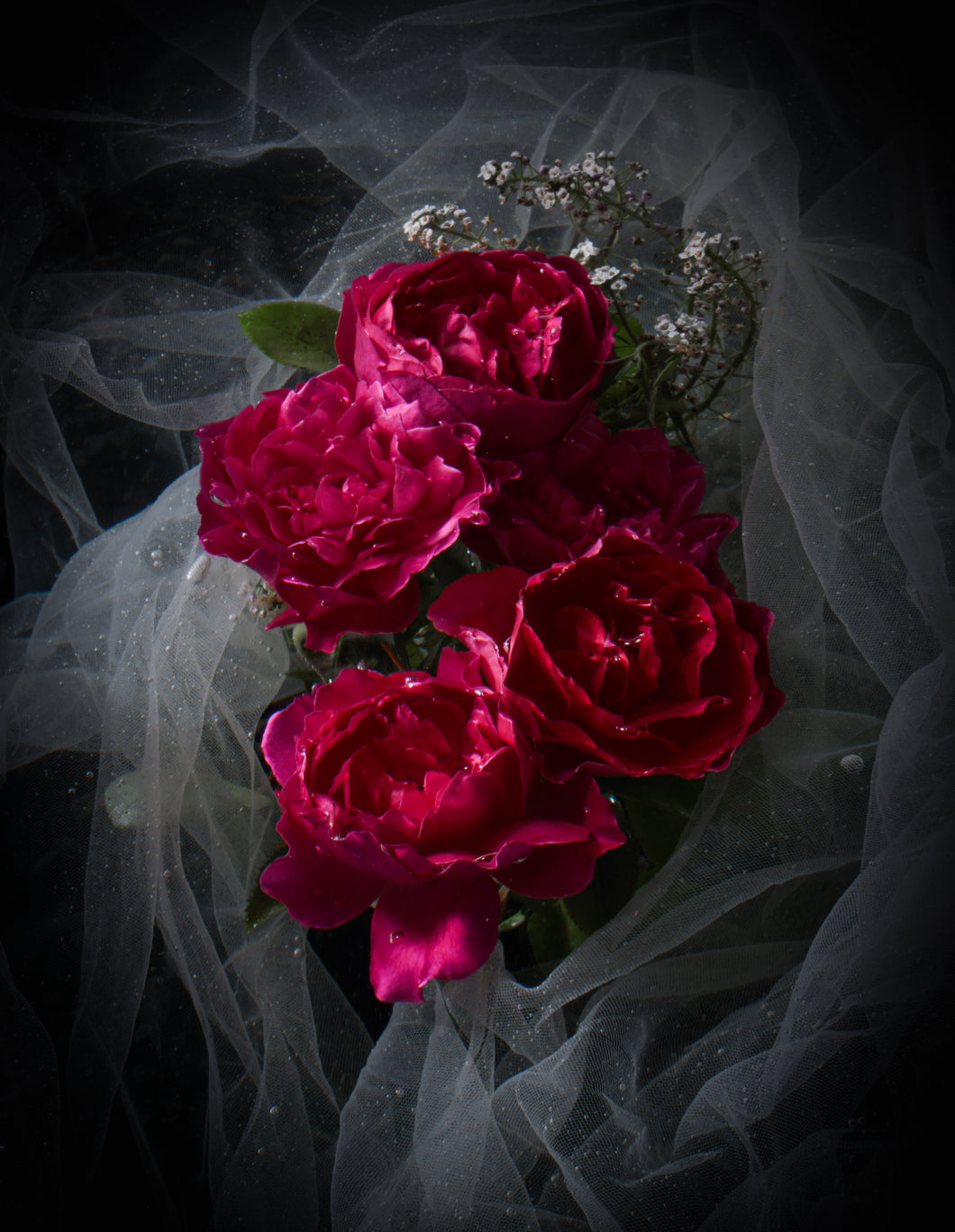 Desire - Unframed